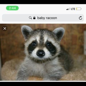 Meet your Posher, Armando